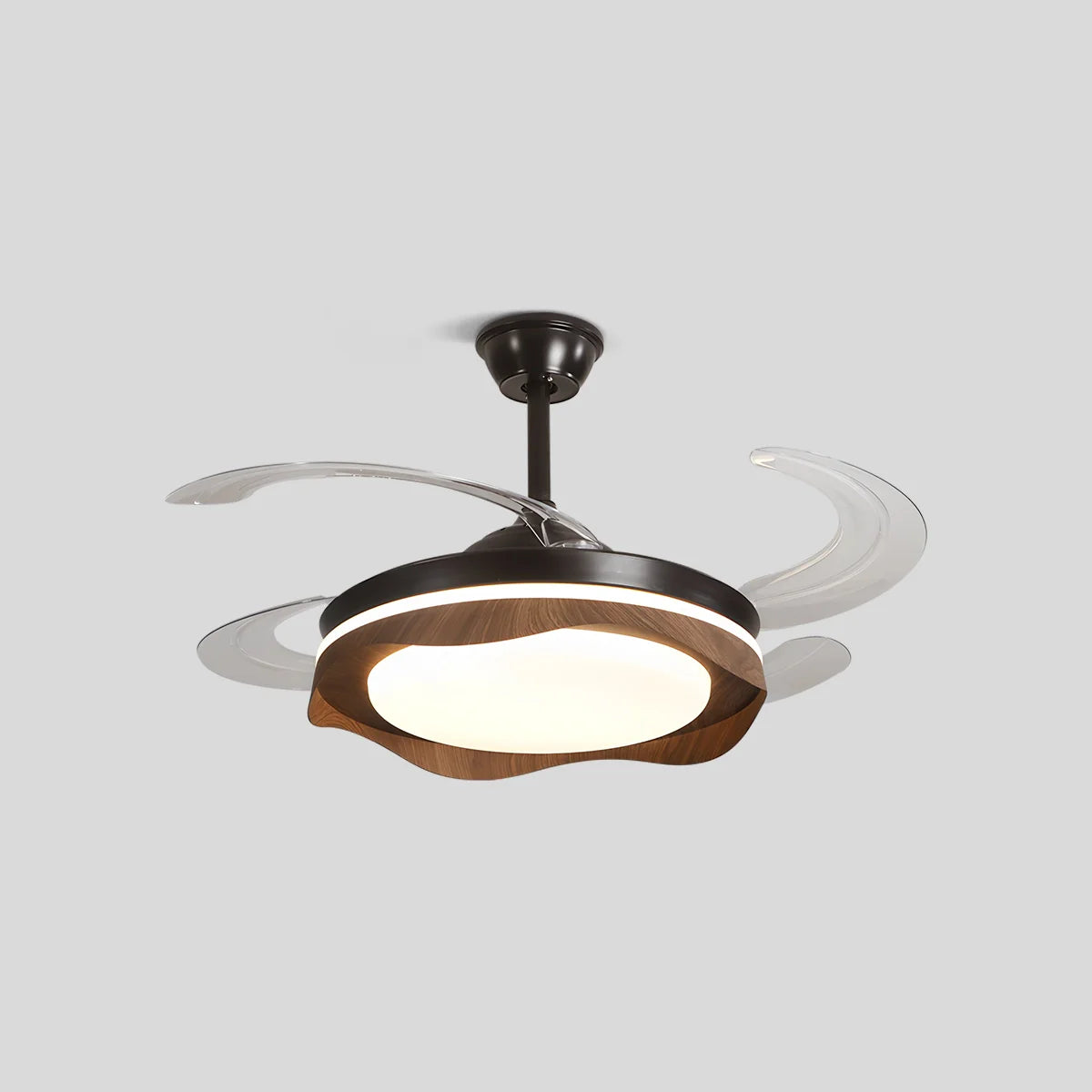 Eloer Retractable Blade Ceiling Fan with Light