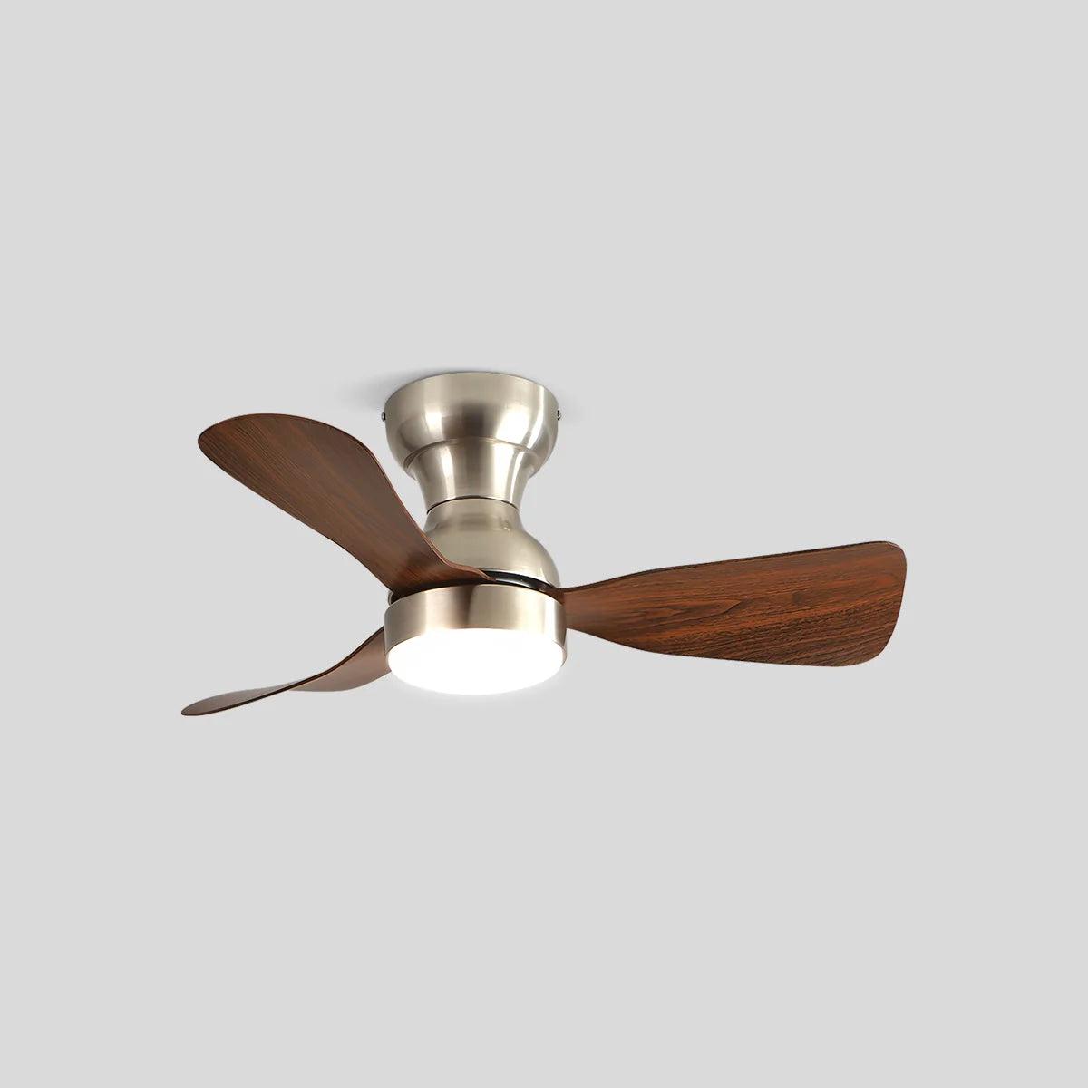 Eloer Small Size Indoor Ceiling Fan Light with Remote