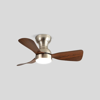 Eloer Small Size Indoor Ceiling Fan Light with Remote