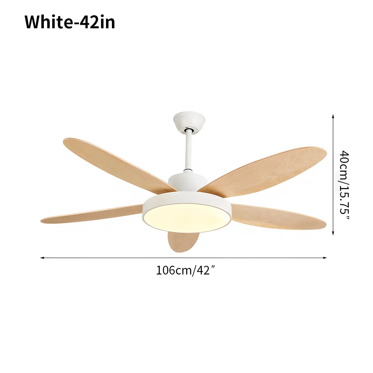 Eloer 5 Blade Modern Ceiling Fan Lamp for Living Room