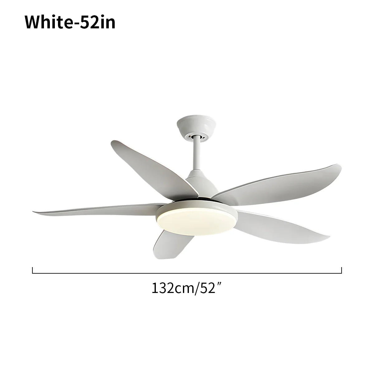 Eloer 5 Blade Contemporary Ceiling Fan Lamp