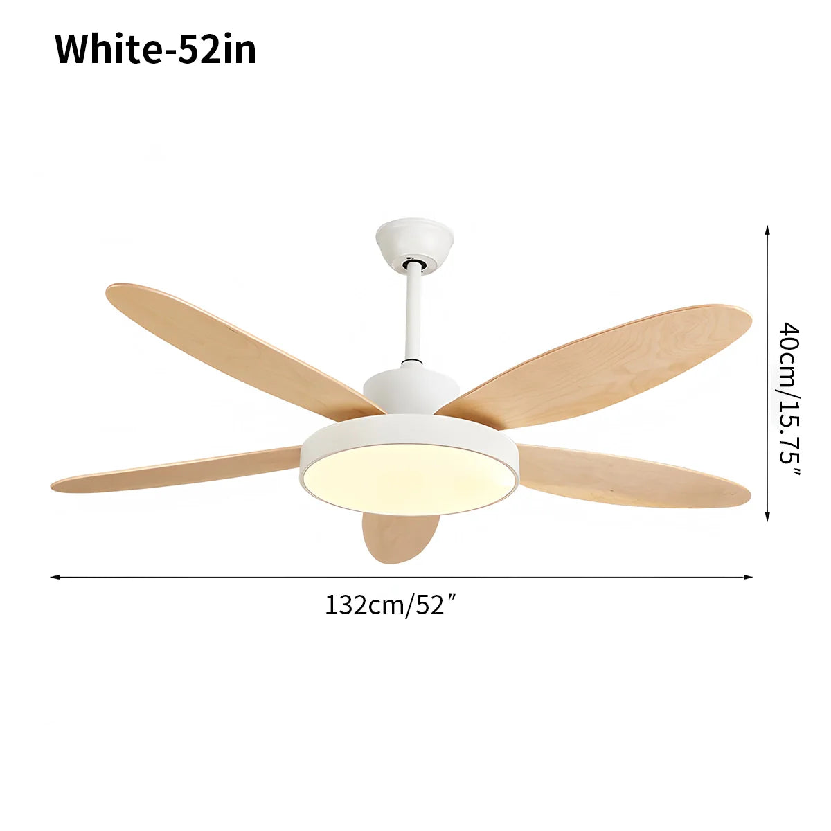 Eloer 5 Blade Modern Ceiling Fan Lamp for Living Room