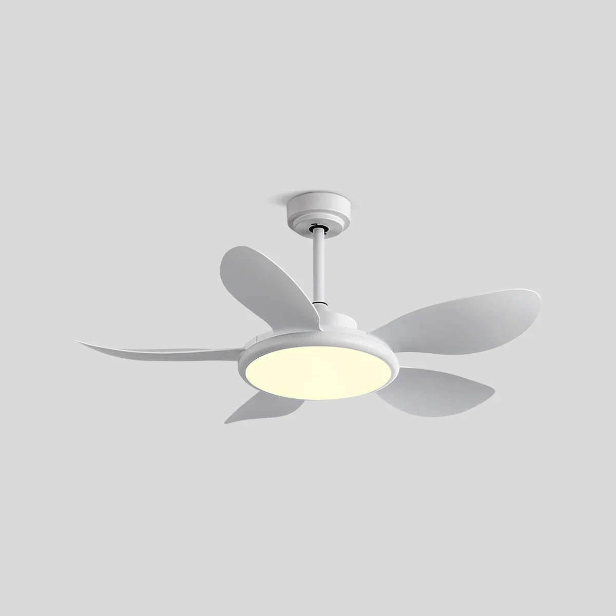 Eloer 5-Blade Wood Ceiling Fan with Light for Living Room