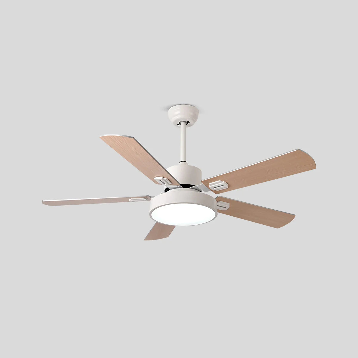 Eloer 5 Blade Vintage Ceiling Fan Light for Living Room