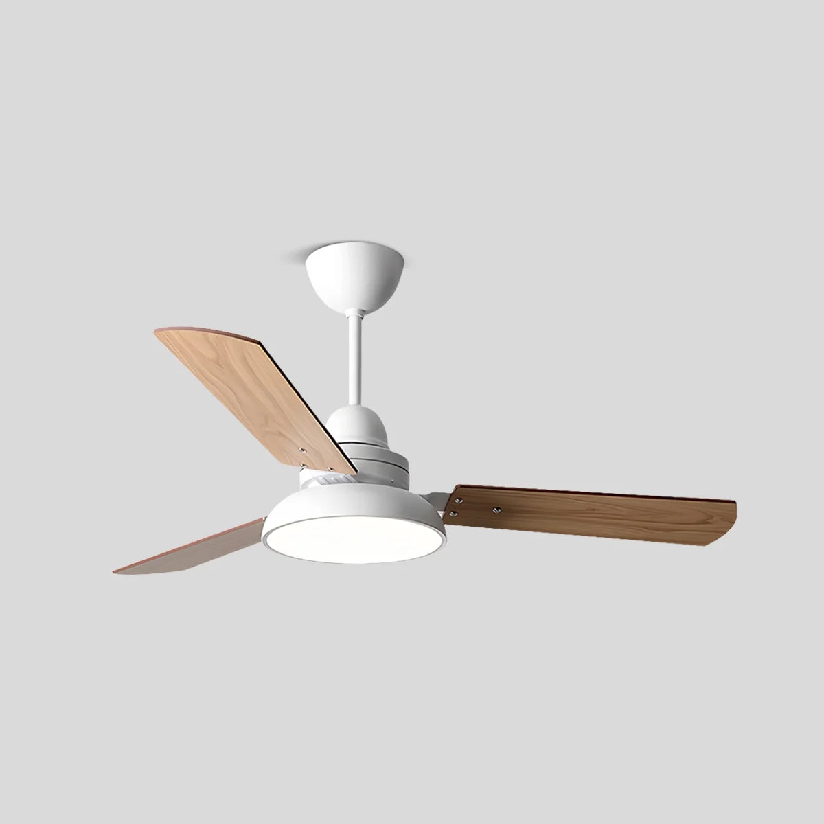 Eloer Modern Minimalist Three Leaf Ceiling Fan Light