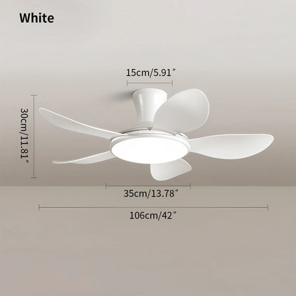 Eloer Silent Remote Control LED Ceiling Fan Light