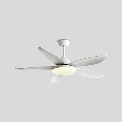 Eloer 5 Blade Contemporary Ceiling Fan Lamp