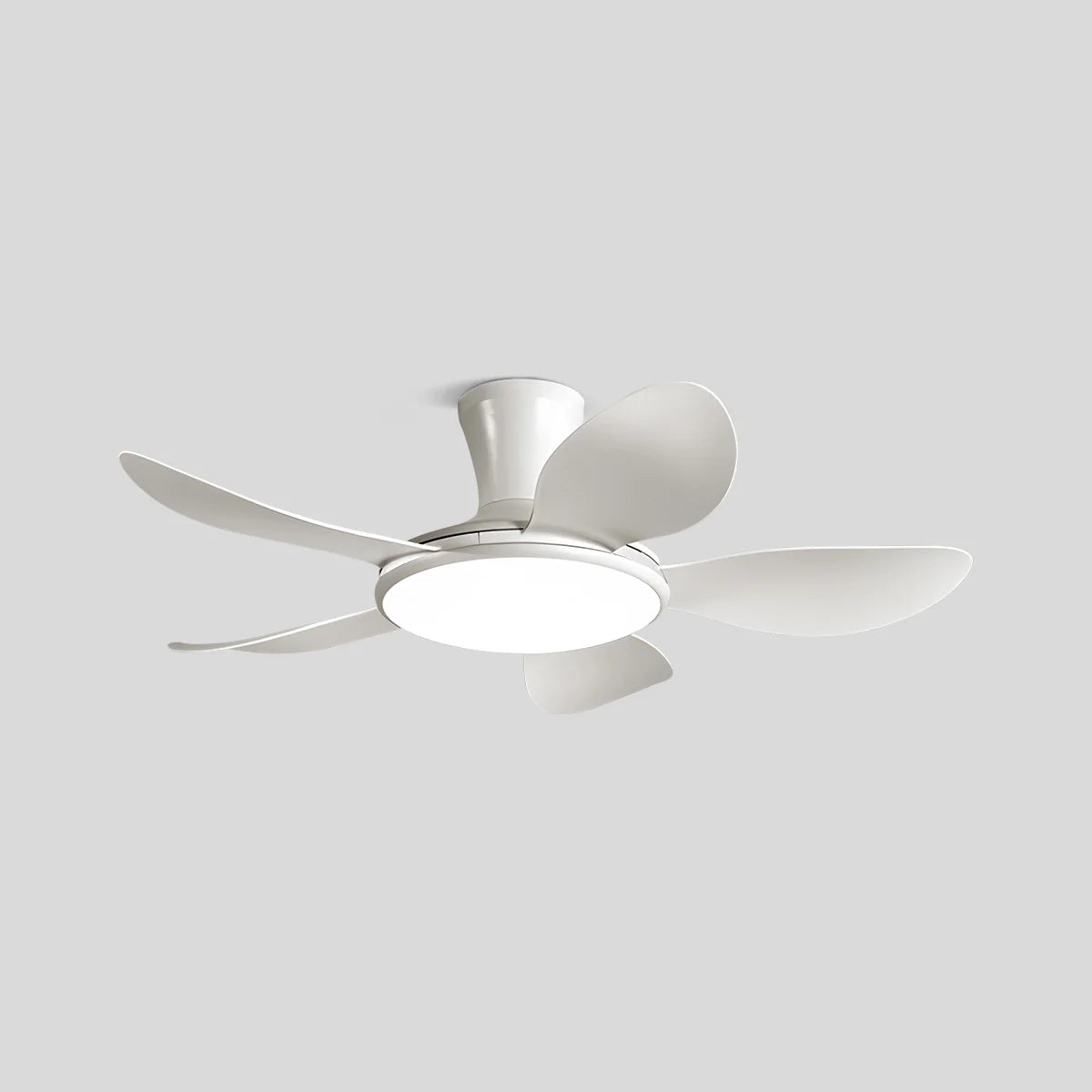 Eloer Silent Remote Control LED Ceiling Fan Light