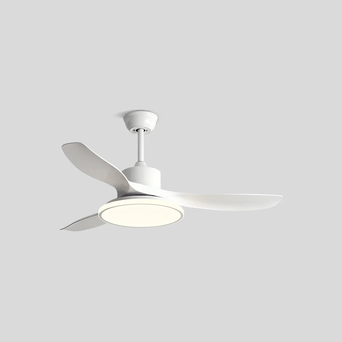 Eloer Modern 3 Blade Ceiling Fan with Light
