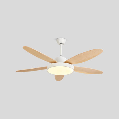 Eloer 5 Blade Modern Ceiling Fan Lamp for Living Room