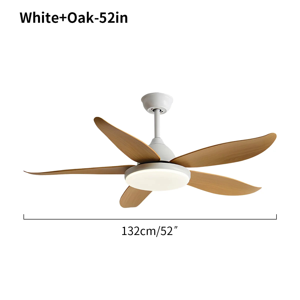 Eloer 5 Blade Contemporary Ceiling Fan Lamp