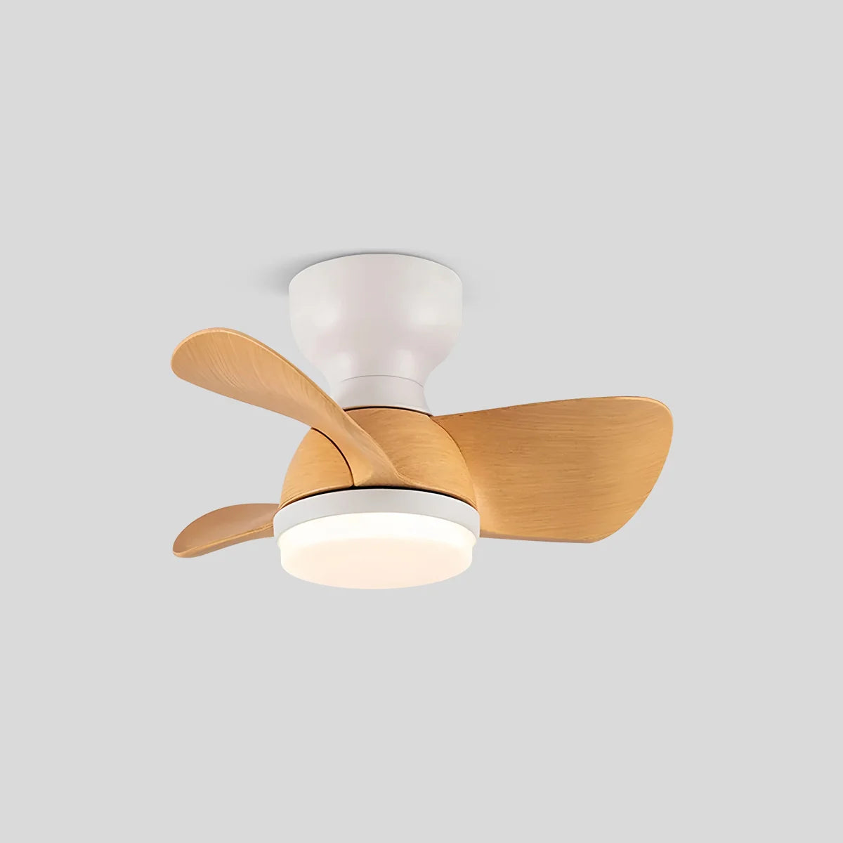 Eloer Small Flush Mount Ceiling Fan with Light