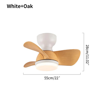 Eloer Small Flush Mount Ceiling Fan with Light