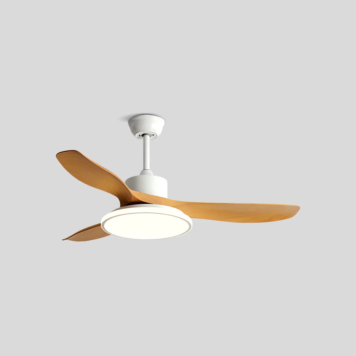 Eloer Modern 3 Blade Ceiling Fan with Light