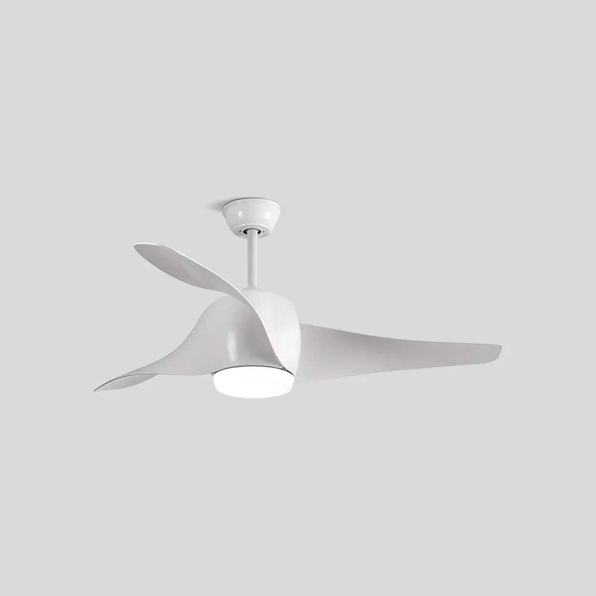 Eloer Propeller Ceiling Fan Lamp for Dining Room