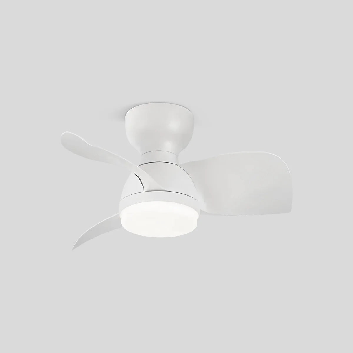 Eloer Small Flush Mount Ceiling Fan with Light