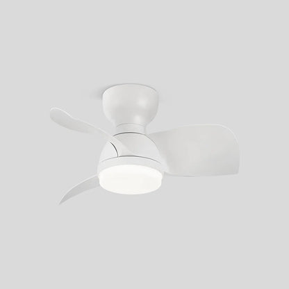 Eloer Small Flush Mount Ceiling Fan with Light