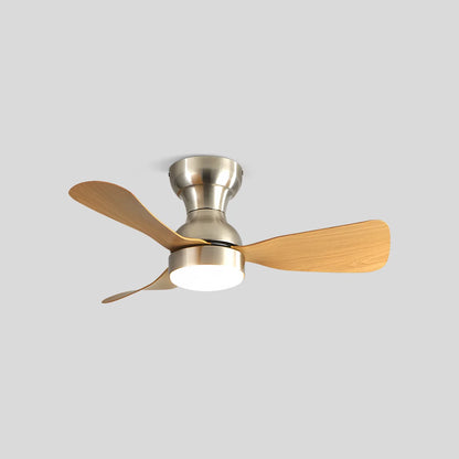 Eloer Small Size Indoor Ceiling Fan Light with Remote